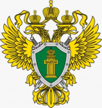В Белорецком районе мужчина предстанет перед судом за незаконную рубку лесных насаждений