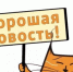 Вакцинация и стерилизация домашних животных - Администрация Белорецкого района
